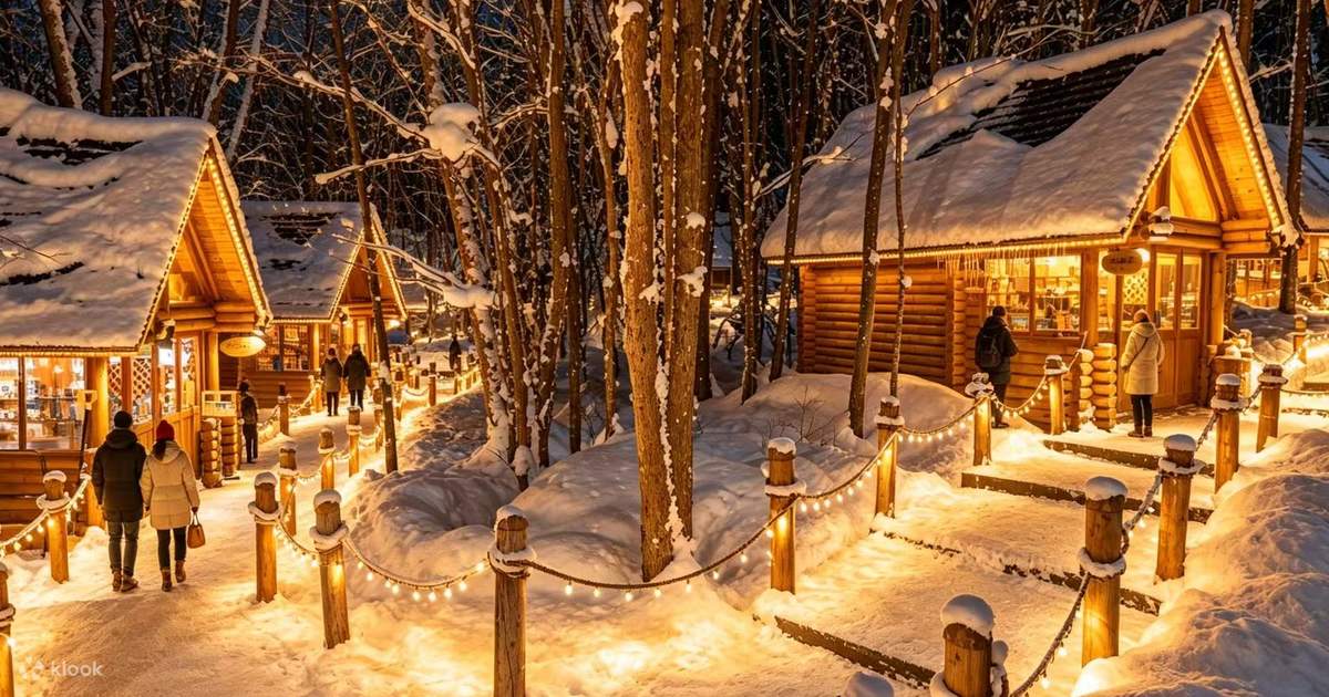 Hokkaido | Asahiyama Zoo & Shikisai no Oka & Biei Christmas Tree